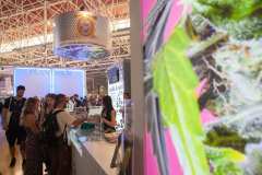 stands_spannabish_marzo_6419_20170404_1735383455