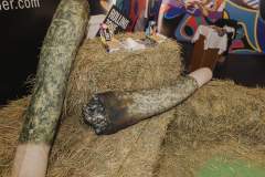 Spannabis2022-101
