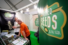 254Motherseeds