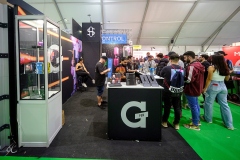 287GPen-Studenglass