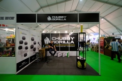 307ChubbyGorilla002