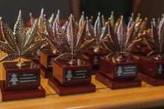 PremiosViernes-2