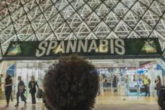 SpannabisMar23-241