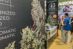 SpannabisMar23-314