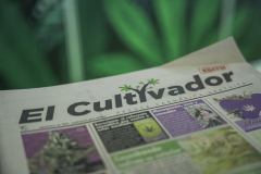 113_Cannabis-Magazine_01