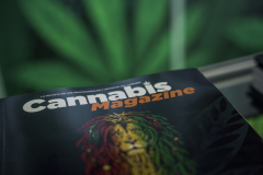 113_ElCultivador_01