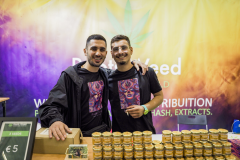128_Roots-Weed_01