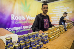128_Roots-Weed_03