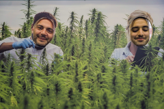 155_Hemp-Specialist_04