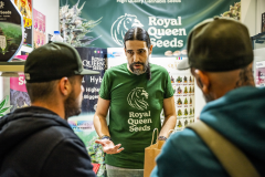 23_Royal-Queen-Seeds_01