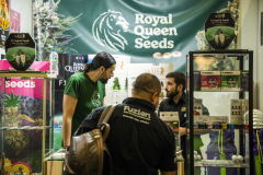 23_Royal-Queen-Seeds_02
