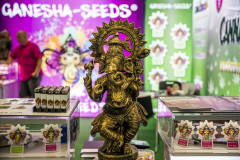 76_Ganesha-Seeds_01