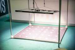 Showroom_DIA1_009