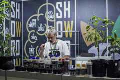 Showroom_DIA2_018