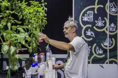 Showroom_DIA2_019